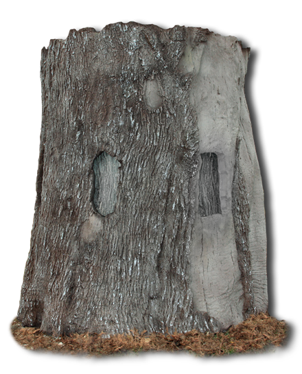 Tree Blind