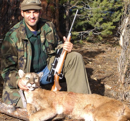 Mountain Lion Hunts